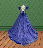 Teen and Miss Stunning Glitter Pageant Dress - ToddlerPageantDress