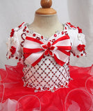 Custom Made Infant/toddler/baby/children/kids Girl's Pageant Dress 1~4T G207 - ToddlerPageantDress