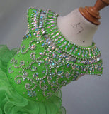 Glitz Beaded Bodice Little Girl/Child/Toddler/Baby/Kids Pageant Dress - ToddlerPageantDress