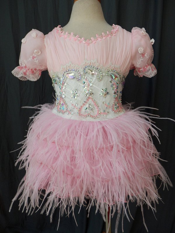 Infant/toddler/baby/children/kids Girl's Pageant evening/prom/ball Dress 1~4T G043 - ToddlerPageantDress