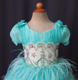 Toddler/Infant/Baby Miss/Baby Girl Pageant Dress - ToddlerPageantDress